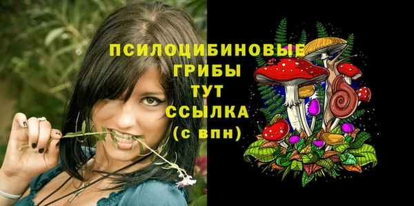 амф Осинники