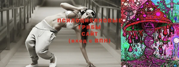 стаф Алексин